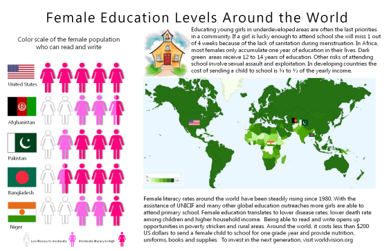 Infographic Female Education t3
